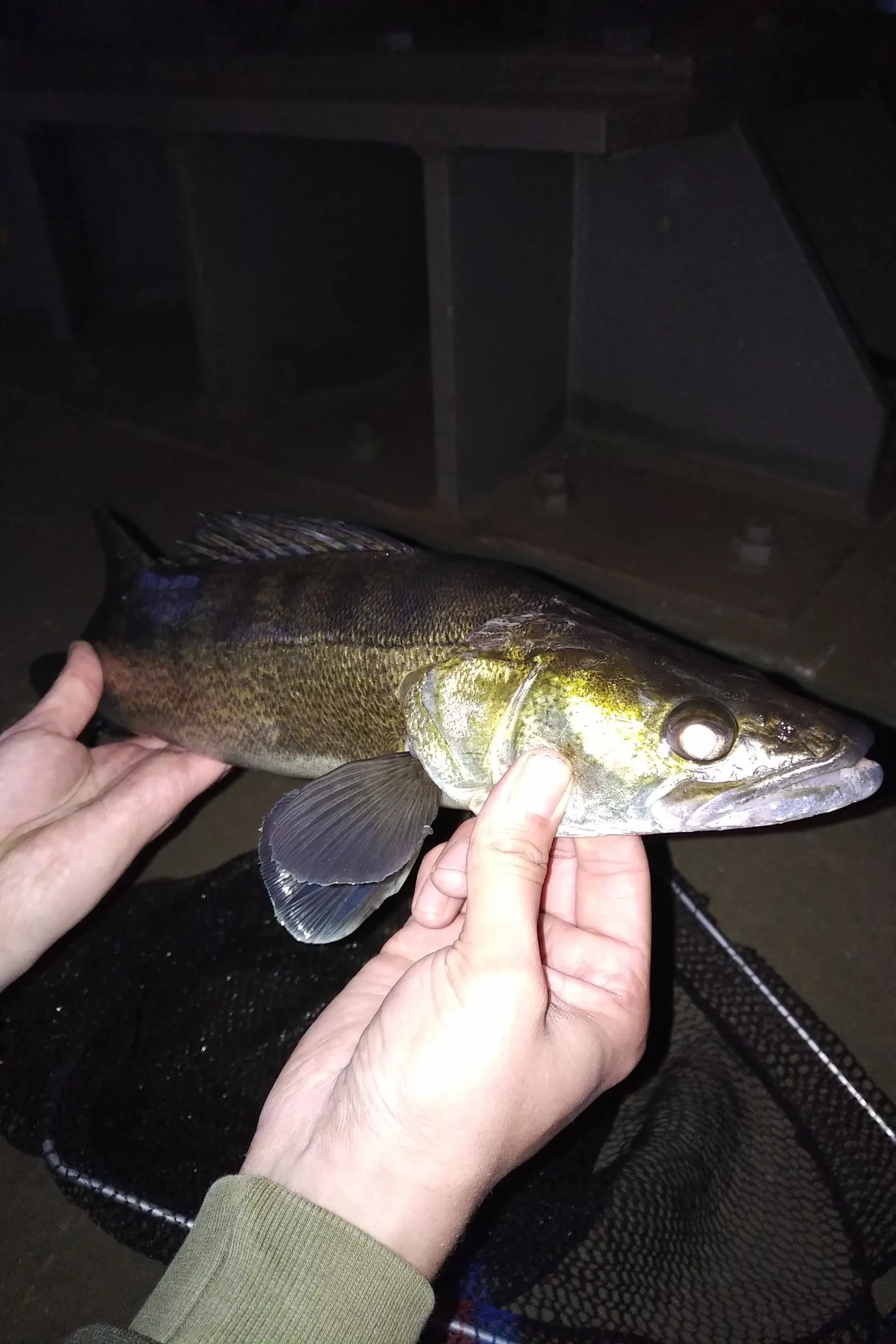 Lion Sports Onyx Dropshot 3 Lion Sports Onyx Dropshot - Image 3