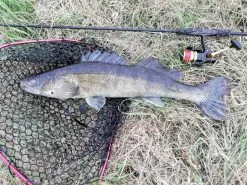 Penn Slammer -Reels Winkel 4812 1