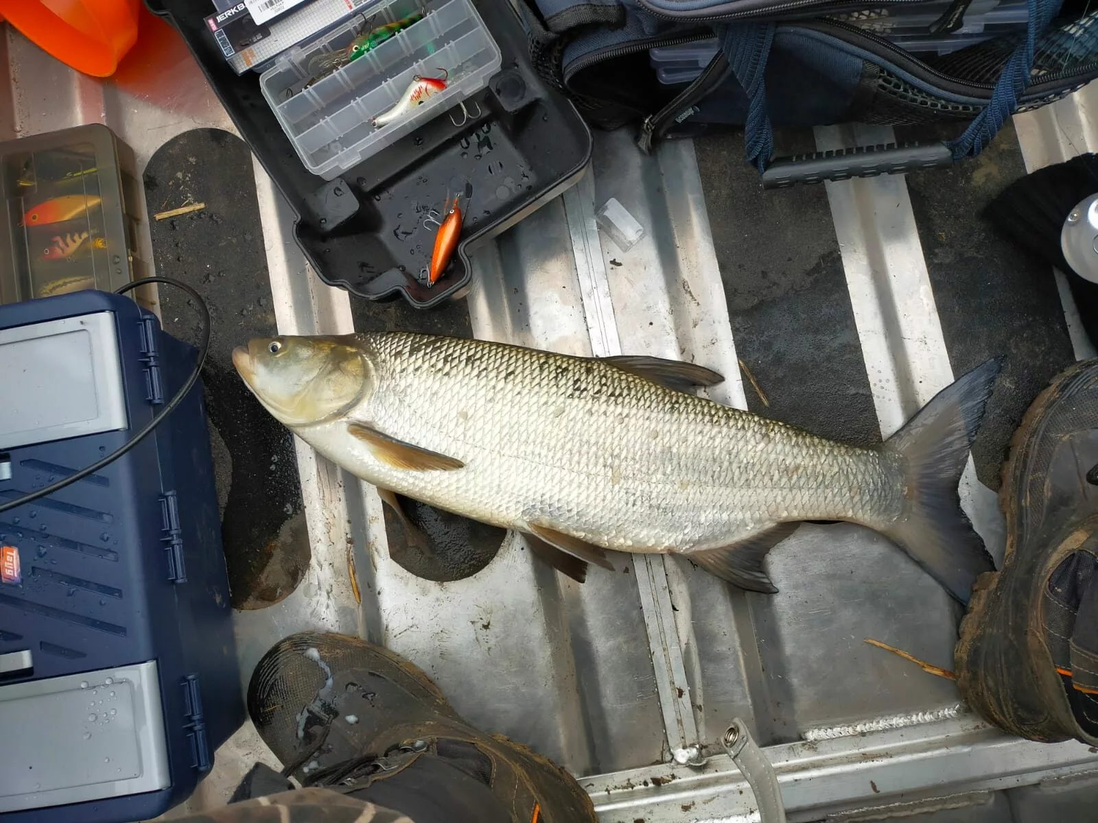 Berkley Fusion19 Treble 3 Berkley Fusion19 Treble - Image 3