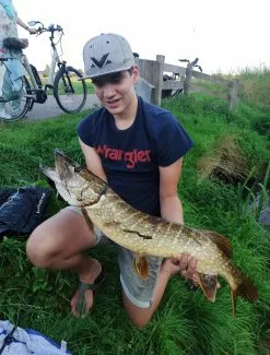 Jerkbait Set Pro -Reels Winkel 7112