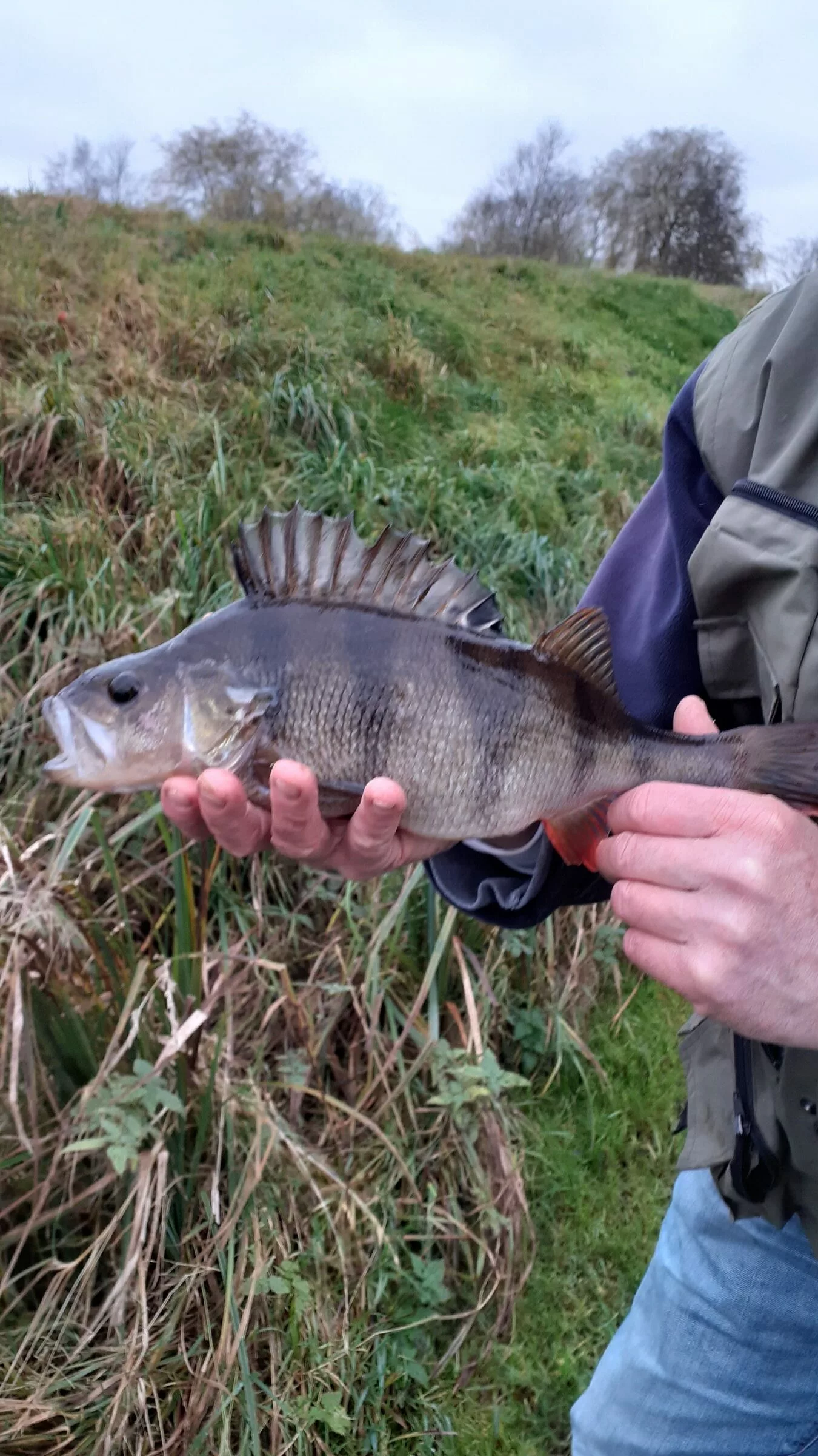 Ultra Light Set 2 Ultra Light Set - Image 2