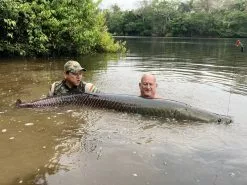 Penn Regiment 3 Boat Travel -Reels Winkel 7847 3