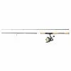Abu Garcia Cardinal Stx Spinning Combo