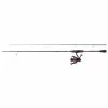 Mitchell Colors Mx Spinning Combo