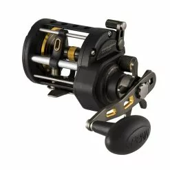 Penn Fathom II -Reels Winkel Penn Fathom II 20 LW LH 38724