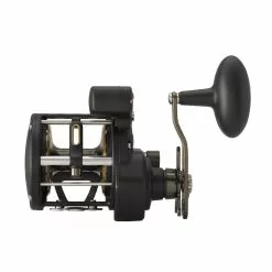Penn Fathom II -Reels Winkel Penn Fathom II 30 LWLCLH RH 38741